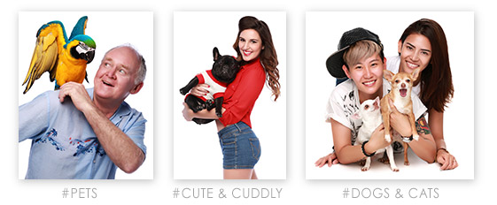 We Love Pets!