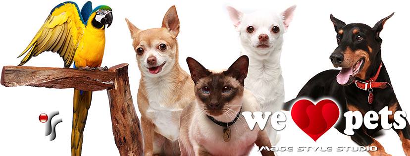 We Love Pets