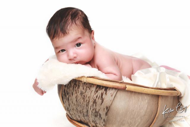 KELV2338 8x12   